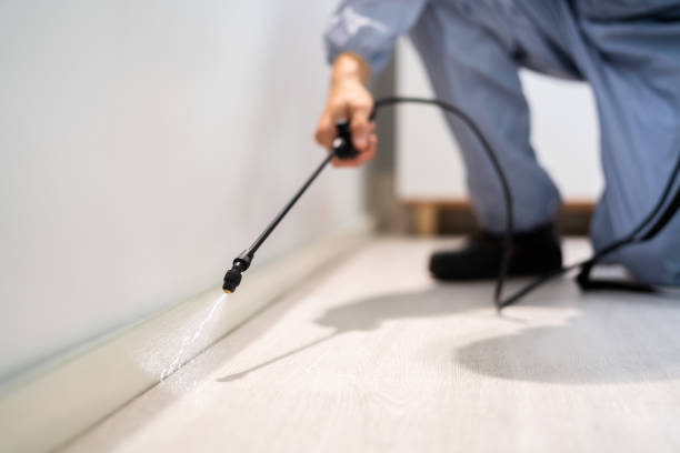 Bed Bug Pre-Treatment Preparation Assessment in Adamsville