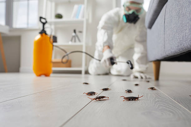 Post-Treatment Bed Bug Interceptor Monitoring in Adamsville