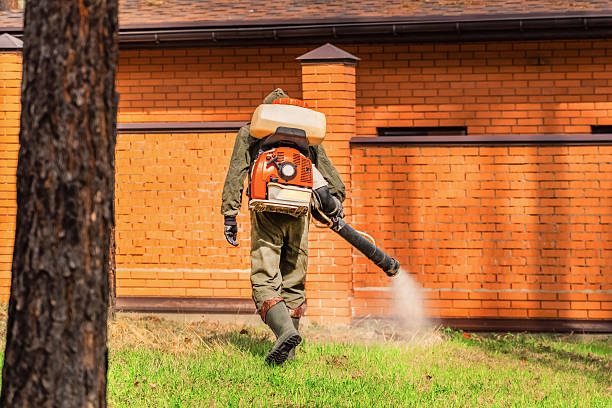 Bed Bug Clearance Verification and Documentation in Adamsville